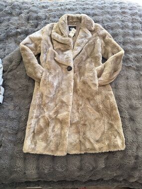 Express Women's Plush Single-Button Teddy Coat - Beige